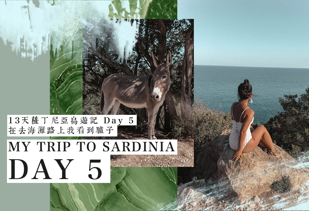 ｜意大利｜13天薩丁尼亞島遊記 Day 5&nbsp;在去海灘路上我看到驢子